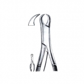 Extracting Forceps American Pattern